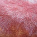 Faux Fur Red And White - Fake Craft Fur 10 X 18..